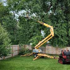 Best Lawn Grading and Leveling  in Richmond, MN