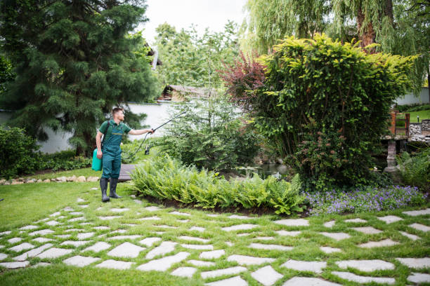 Reliable Richmond, MN Tree Services Solutions