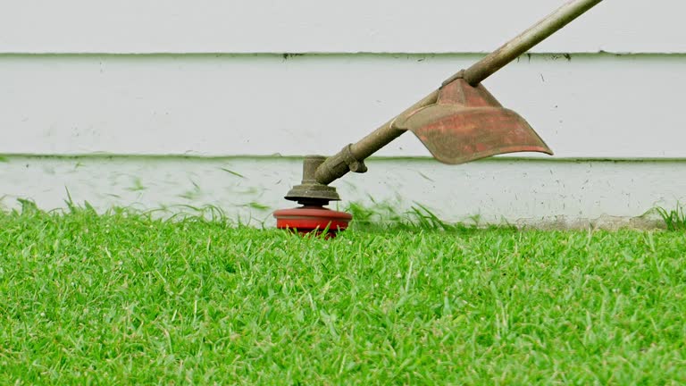Tree and Shrub Care in Richmond, MN