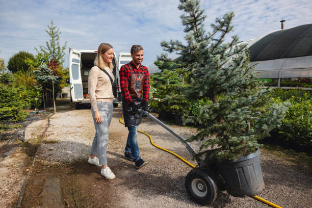 Landscape Design and Installation in Richmond, MN